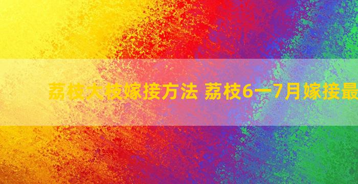 荔枝大枝嫁接方法 荔枝6一7月嫁接最快方法